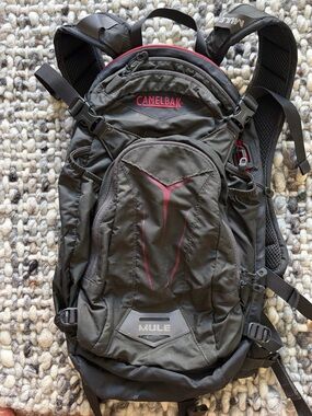 CamelBak Mule Backpack in Gray with Red Accents